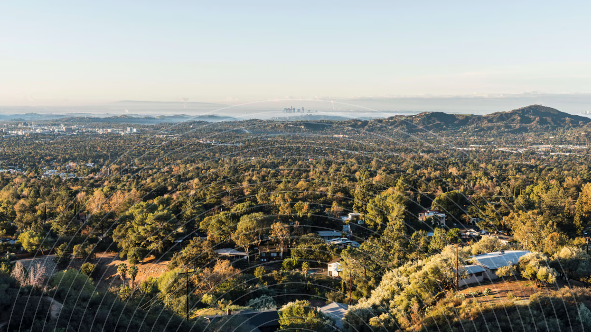 Aerial view of Altadena hills, trees, and homes with the Los Angeles skyline in the distance